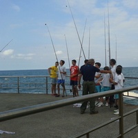 Pesca desde Costa con monitor, individuales o en grupo