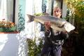 Tallas mínimas de peces y mariscos en Asturias y España