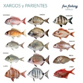 Fon Fishing Carteles De Peces Y Mariscos