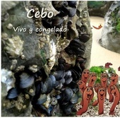 Cebos de Mar Variados